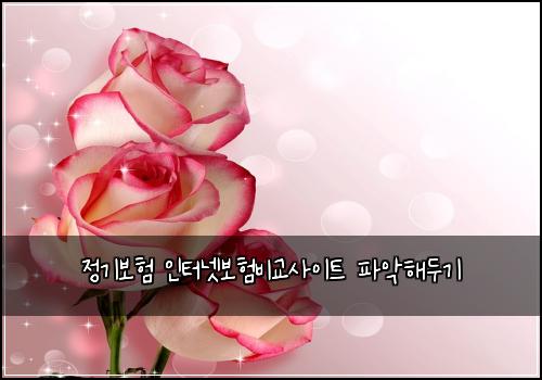 ์ ๊ธฐ๋ณดํ ์ธํฐ๋ท๋ณดํ๋น๊ต์ฌ์ดํธ ํ์
ํด๋๊ธฐ