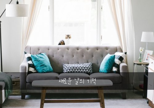 새로운 날의 기적