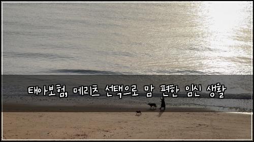  태아보험, 메리츠 선택으로 맘 편한 임신 생활