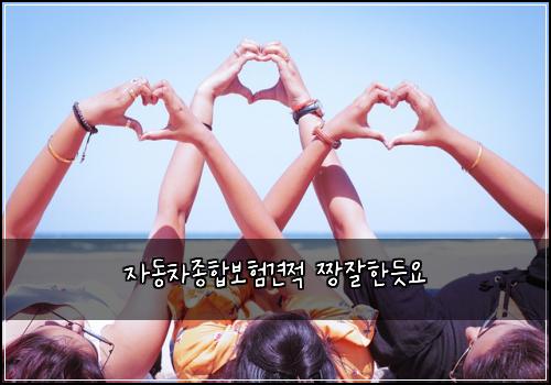 ์๋์ฐจ์ข
ํฉ๋ณดํ๊ฒฌ์ ์งฑ์ํ๋ฏ์