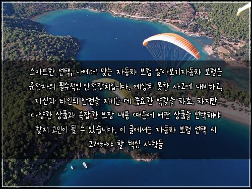 스마트한 선택, 나에게 맞는 자동차 보험 알아보기

자동차 보험은 운전자의 필수적인 안전장치입니다. 예상치 못한 사고에 대비하고, 자신과 타인의 안전을 지키는 데 중요한 역할을 하죠. 하지만 다양한 상품과 복잡한 보장 내용 때문에 어떤 상품을 선택해야 할지 고민이 될 수 있습니다. 이 글에서는 자동차 보험 선택 시 고려해야 할 핵심 사항들