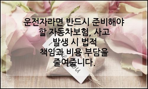 오늘의 이미지