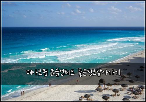 태아보험 효율성체크  좋은정보알아가기