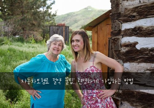 자동차보험료 절약 꿀팁: 현명하게 가입하는 방법