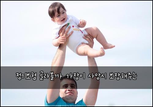 정기보험 골라볼까  가장이 사망시 보장해주는
