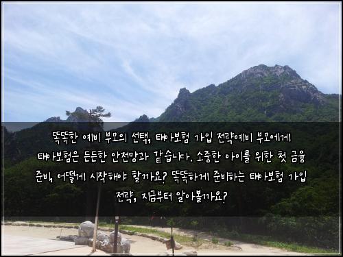  똑똑한 예비 부모의 선택, 태아보험 가입 전략

예비 부모에게 태아보험은 든든한 안전망과 같습니다. 소중한 아이를 위한 첫 금융 준비, 어떻게 시작해야 할까요? 똑똑하게 준비하는 태아보험 가입 전략, 지금부터 알아볼까요?