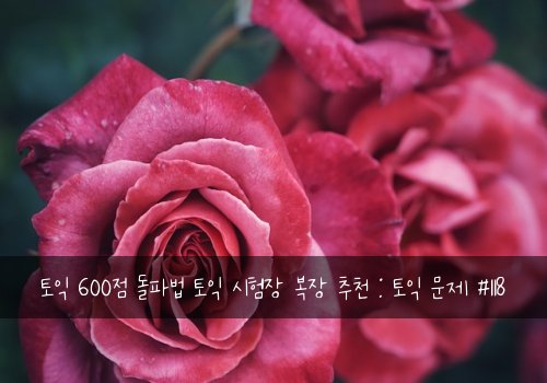 토익 600점 돌파법 토익 시험장 복장 추천 : 토익 문제 #118