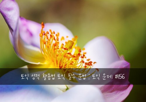 토익 성적 활용법 토익 필수 문법 : 토익 문제 #156