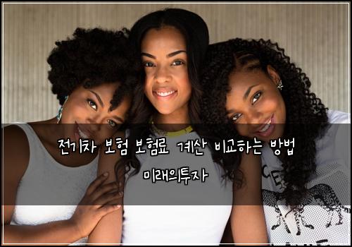 전기차 보험 보험료 계산 비교하는 방법 미래의투자