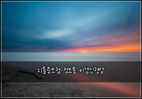 뇌졸증보험 정보통  비갱신형암