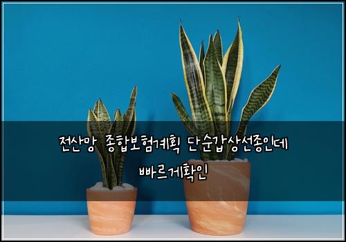 ์ ์ฐ๋ง ์ข
ํฉ๋ณดํ๊ณํ ๋จ์๊ฐ์์ ์ข
์ธ๋ฐ ๋น ๋ฅด๊ฒํ์ธ