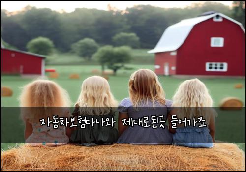 자동차보험다나와 제대로된곳 들어가죠