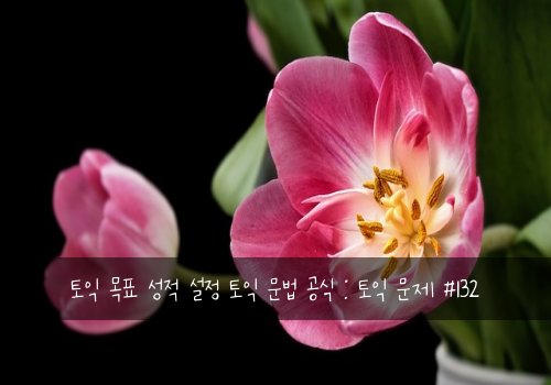 토익 목표 성적 설정 토익 문법 공식 : 토익 문제 #132