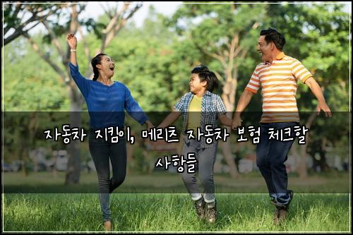 자동차 지킴이, 메리츠 자동차 보험 체크할 사항들