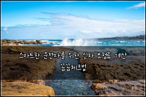  스마트한 운전자를 위한 신차 보험료 계산 꼼꼼체크법