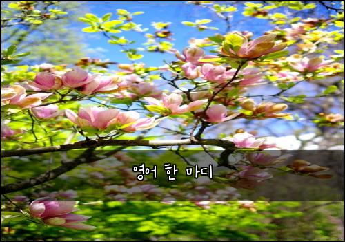 영어 한 마디