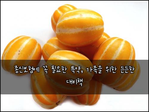 종신보험에 꼭 필요한 특약, 가족을 위한 든든한 대비책