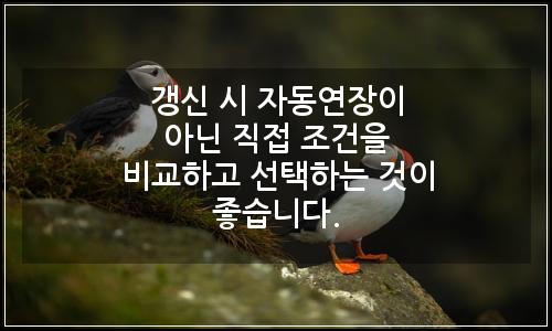 오늘의 이미지