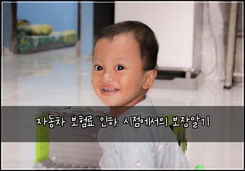 자동차 보험료 인하 시점에서의 보장알기