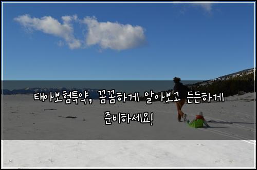 태아보험특약, 꼼꼼하게 알아보고 든든하게 준비하세요!