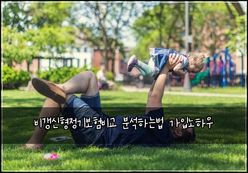 비갱신형정기보험비교 분석하는법 가입노하우