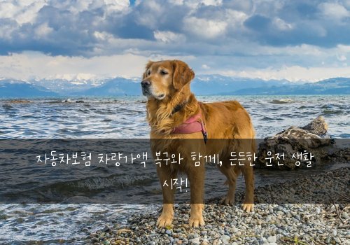 자동차보험 차량가액 복구와 함께, 든든한 운전 생활 시작!