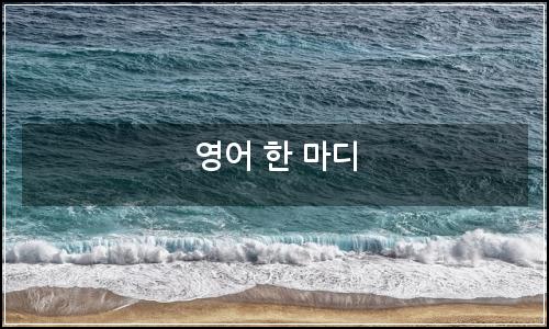 오늘의 이미지