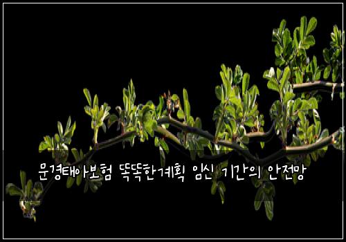 문경태아보험 똑똑한계획  임신 기간의 안전망