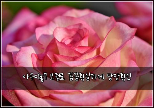 ์์ฐ๋q7 ๋ณดํ๋ฃ ๊ผผ๊ผผํ์คํ๊ฒ ๋น์ฅํ์ธ