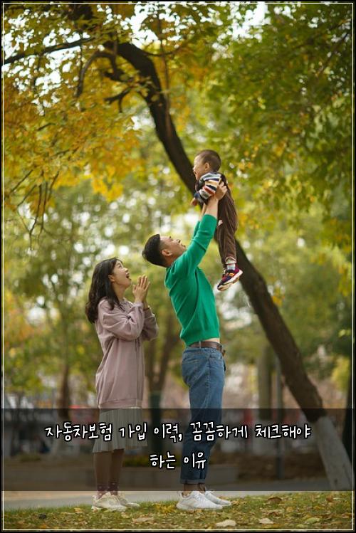자동차보험 가입 이력, 꼼꼼하게 체크해야 하는 이유