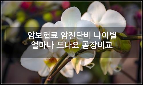 오늘의 이미지