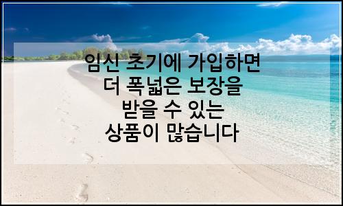 오늘의 이미지