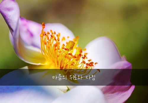 마음의 위로와 다짐