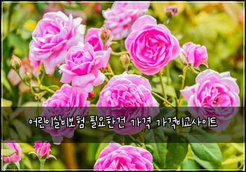 어린이실비보험 필요한건  가격 가격비교사이트