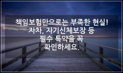 오늘의 이미지