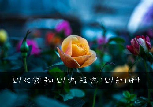 토익 RC 실전 문제 토익 성적 목표 설정 : 토익 문제 #144