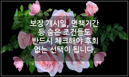 오늘의 이미지