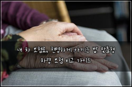내 차 보험료, 현명하게 아끼는 법: 맞춤형 차량 보험 비교 가이드