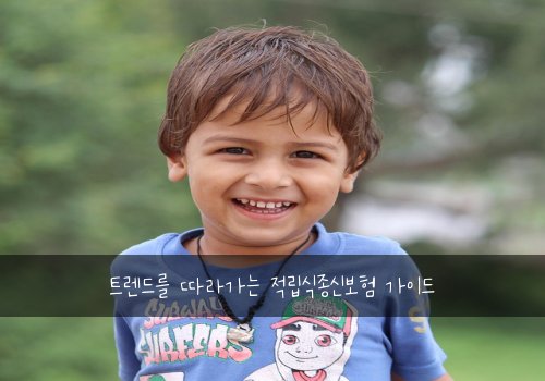 트렌드를 따라가는 적립식종신보험 가이드