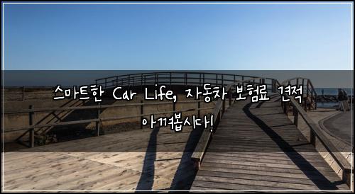  스마트한 Car Life, 자동차 보험료 견적 아껴봅시다!