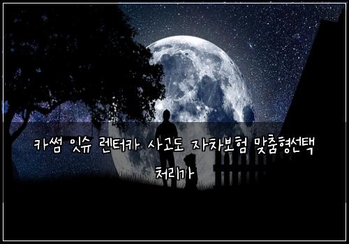 카썸 잇슈 렌터카 사고도 자차보험 맞춤형선택 처리가