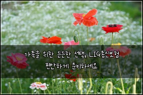  가족을 위한 든든한 선택, LIG종신보험 편안하게 준비하세요