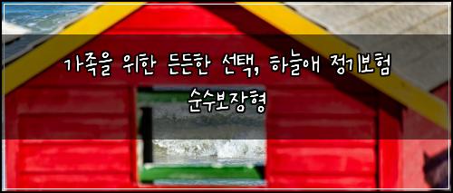  가족을 위한 든든한 선택, 하늘애 정기보험 순수보장형