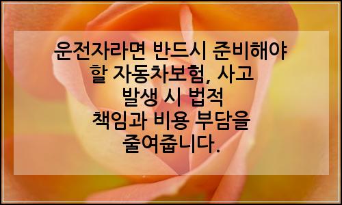 오늘의 이미지
