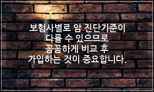 오늘의 이미지