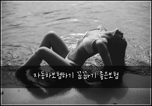 ์๋์ฐจ๋ณดํํ๊ธฐ ๊ผผ๊ผผr๊ธฐ ์ข์๋ณดํ