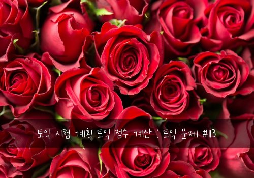 토익 시험 계획 토익 점수 계산 : 토익 문제 #113