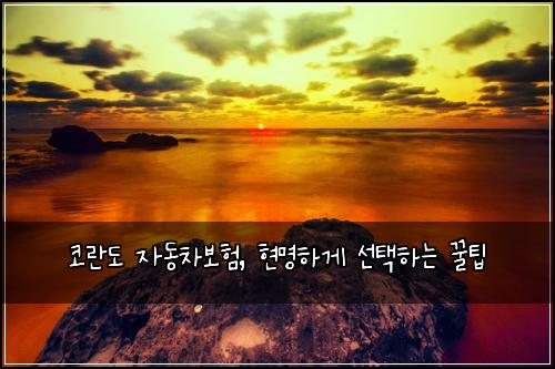 코란도 자동차보험, 현명하게 선택하는 꿀팁