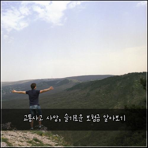  교통사고 사망, 슬기로운 보험금 알아보기