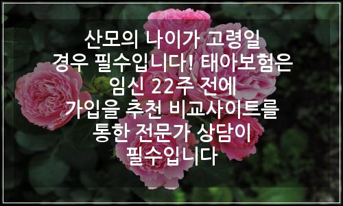 오늘의 이미지